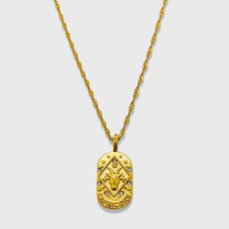 Capricorn Zodiac Necklace